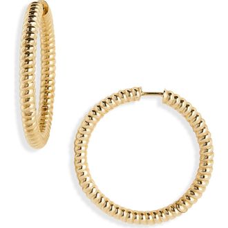 Established 18k Gold Rope Hoop Earrings in Yellow Gold at Nordstrom