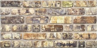 vidaXL Paneles De Pared 10 Uds. 100 X 50 Cm Multicolor Espuma Eps Vidaxl