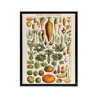 Artery8 Millot Encyclopedia Page Vegetables Legumes Framed Canvas Wall Art Print | Size: W24 x H32