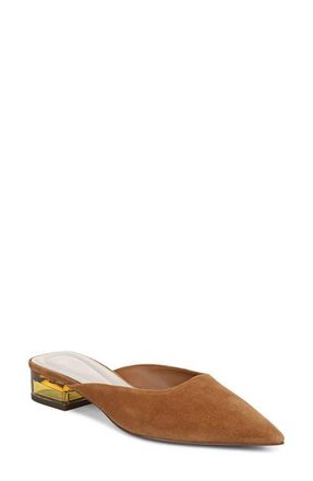 Franco Sarto Bennet Pointed Toe Mule in Saddle at Nordstrom, Size 8.5