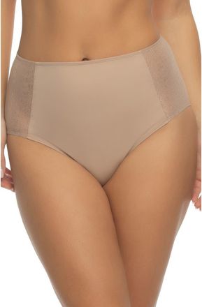 Felina High Rise Brief in Dune at Nordstrom Rack, Size X-Large