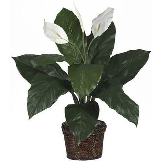 Nearly Natural Spathiphyllum with Wicker Artificial Plant in Green at Nordstrom