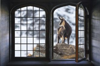 Queence Wandsticker »Berge« Wandsticker, Wandbild, selbstklebend, 3D, Fenster