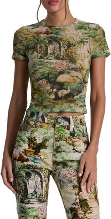 Alice & Olivia Tess Stretch Mesh T-Shirt in Terrain Lg at Nordstrom, Size X-Small