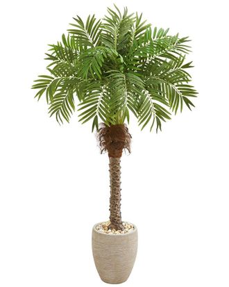 Nearly Natural 63In Robellini Palm Artificial Tree In Planter