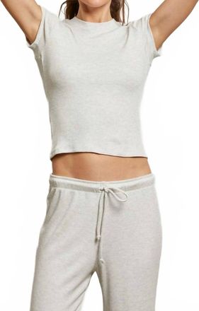 perfectwhitetee Mindy Brushed Waffle Tee In Ash
