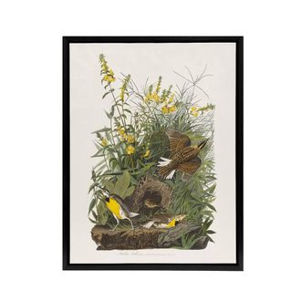 Artery8 Meadowlark Bird False Foxglove Audubon Black Framed Canvas Wall Art in White | Size: W24 x H32