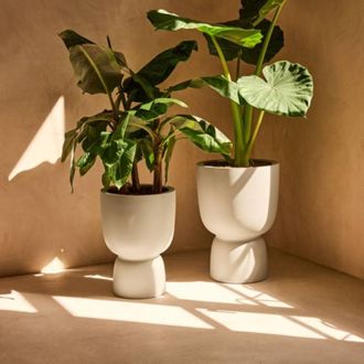 Charles Bentley Elho Amber Coupe 41 White Indoor & Outdoor Plant Pot
