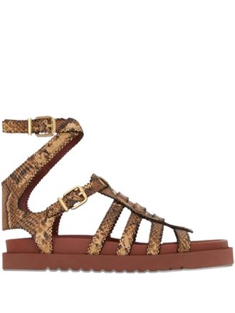 Zimmermann Sandali Goldie Gladiator - Marrone