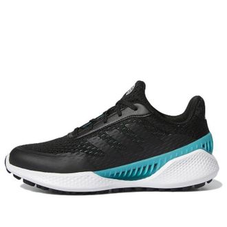 adidas (WMNS) adidas Summervent Recycled Polyester Spikeless Golf Black Mint Rush GV9765