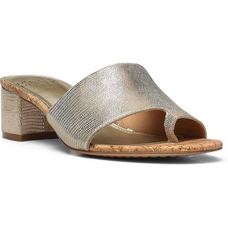 Donald J Pliner Naia Embossed Slide Sandal in Platino at Nordstrom Rack, Size 7.5