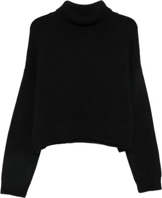 Lisa Yang Truien & Vesten, Dames, Zwart, XS, Kasjmier, Zerlina Roll-Neck Sweater