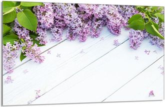 OEM Placa Protectora De Vidrio Para Estufa 80x52 Lila