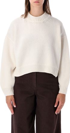 Sessun Spero Chunky Knit Cropped Crewneck Sweater