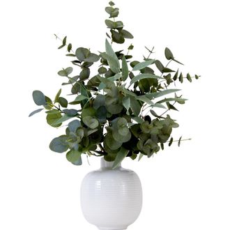Nearly Natural 24-in Artificial Eucalyptus Leaves Arrangement with Ceramic Planter in Green at Nordstrom