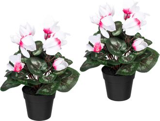 Creativ Green Künstliche Zimmerpflanze