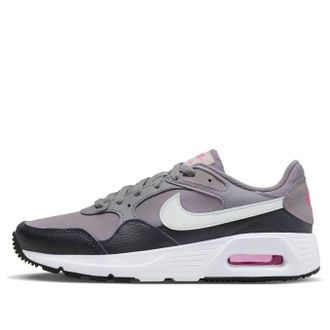 Nike (WMNS) Nike Air Max SC Flat Pewter CW4554-005