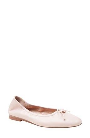 Linea Paolo Mila Ballerina Flat in Ballet Pink at Nordstrom Rack, Size 5