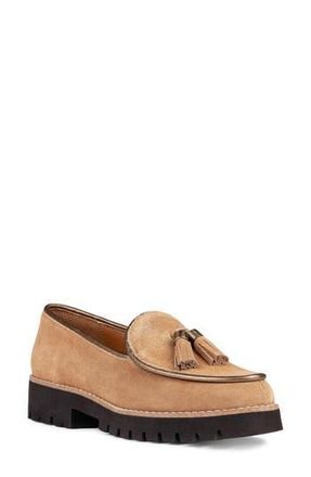 Donald J Pliner Tassel Loafer in Saddle at Nordstrom Rack, Size 6.5