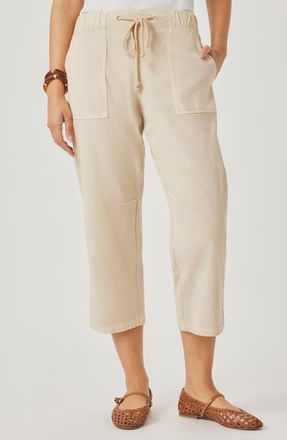 Splendid Regina Crop Pants in Light Fawn Beige at Nordstrom, Size X-Small