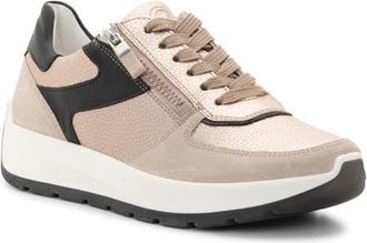 Ara Nagano Sneaker in Sand/Shell/Black at Nordstrom, Size 11.5