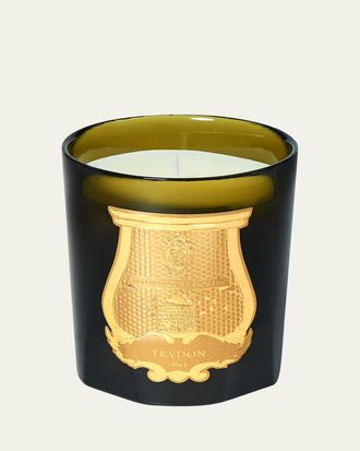 Cire Trudon Ernesto Leather & Tobacco Candle, 9.5 oz