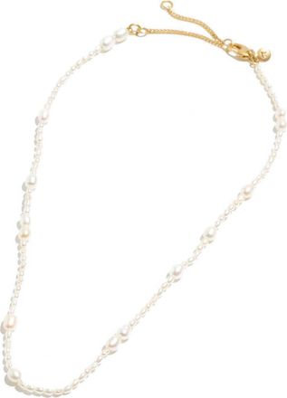 Madewell Mixed Pearl Beaded Choker Necklace in Freshwater Pearl at Nordstrom