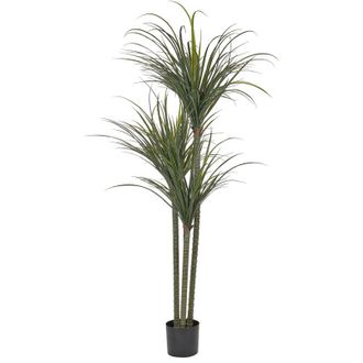 Beliani Planta Artificial En Maceta Para Interior Decoraci&oacute;n De Pl&aacute;stico 198 Cm De Altura Dracaena Anita