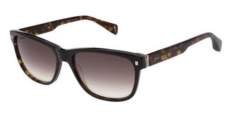 Ted Baker TB1753 Dayton 119 Mens Sunglasses Tortoiseshell Size 58