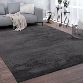 Paco Home Paco Home - Alfombra, Suave Alfombra De Pelo Corto Para Sal&oacute;n, Suave, Lavable, Gris Oscura 120x170 Cm