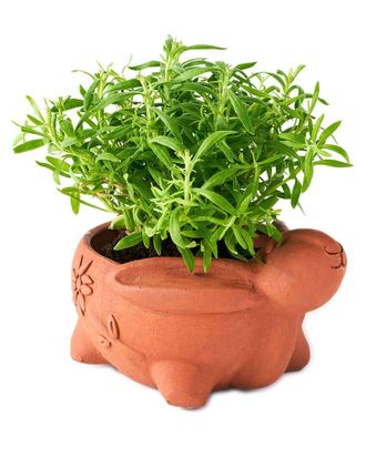 Matr Boomie Matr Boomie Rakshana Rabbit Plant Pot