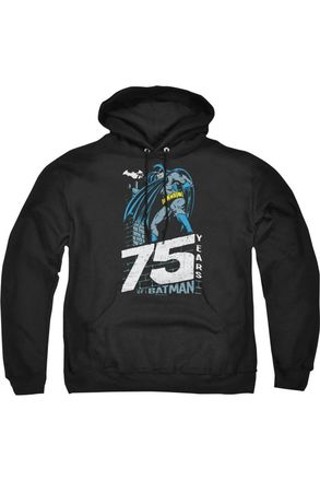 Gildan Batman Rooftop Adult Pull Over Hoodie / Hooded Sweatshirt