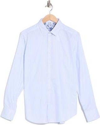 Robert Graham Washburn Stretch Cotton Button-Up Shirt in Light Blue at Nordstrom Rack, Size Xxx-Large