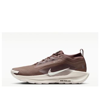 Nike Pegasus Trail 5 Gore-Tex Mink Brown HQ7494-200