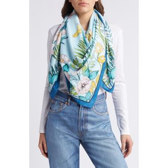 Tasha Butterfly Floral Scarf in Blue Multi at Nordstrom