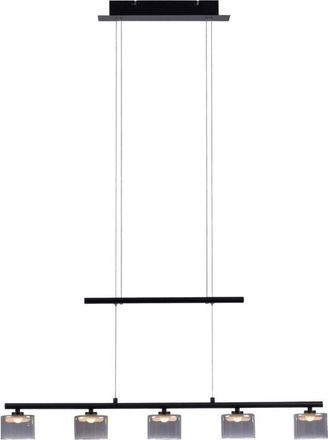 Paul Neuhaus Paul Neuhaus Hydra Lámpara de techo colgante de barra negra, 5 LED de 4 W, 3000 K