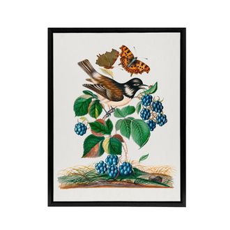 Artery8 Bramble Rubus Starling & Butterflies Bolton Framed Canvas Wall Art | Size: W24 x H32
