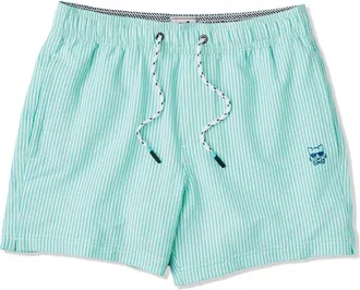 Party Pants Stripe Party Starter Lined 5-Inch Swim Trunks in Aruba Blue at Nordstrom, Size X-Large