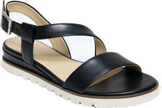 David Tate Ingrid Wedge Sandal in Black at Nordstrom, Size 11