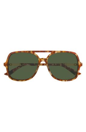 Chlo&eacute; 57mm Navigator Sunglasses in Shiny Havana Red Spot Beige at Nordstrom