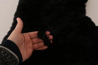 Dolce & Gabbana Womens Black Silver Fox Fur Cashmere Hooded Scarf