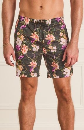 Aqua Blu Australia Classic Boardshorts in Black at Nordstrom, Size X-Small