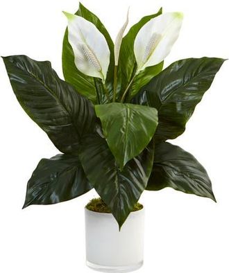 Nearly Natural Spathiphyllum Artificial Flowering Peace Lily in Glossy Glass Planter in Green at Nordstrom
