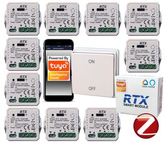 OEM 10x Controlador De Persianas Enrollables Tuya Zigbee Rfr1k Gratis