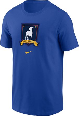 Nike AFC Richmond Nike Mens T-Shirt in Blue | M11332P043AFCR-RYL