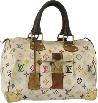Louis Vuitton Pre-owned Handbags, female, Multicolor, Size: ONE SIZE Pre-owned Monogram Multicolor Hand Bag