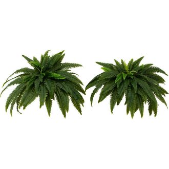 Nearly Natural 48-in UV Resistant Artificial Boston Fern (Indoor/Outdoor) - Set of 2 in Green at Nordstrom
