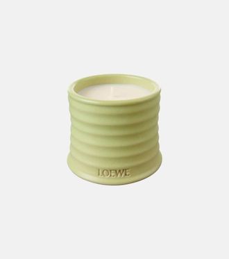 Loewe Cucumber Small scented candle