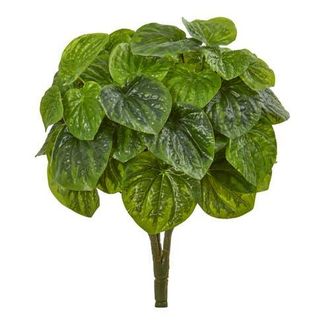 Nearly Natural 14-in Peperomia Artificial Plant in Green at Nordstrom