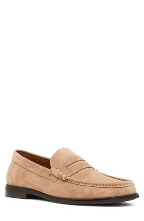 Madden Hettick Penny Loafer in Taupe Suede at Nordstrom, Size 10.5